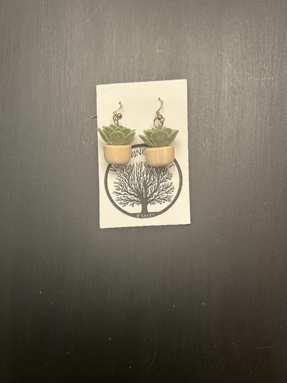 Succulent Plant Earrings NWT